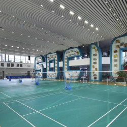 Basketball Court- Indoor Taraflex 6mm Basketball Court- Indoor Taraflex 6mm