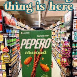 Pepero ( big )