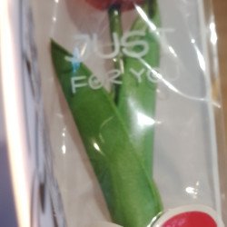 Tulips flower 