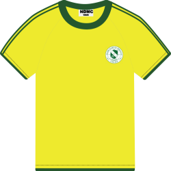 NDMC T-SHIRT for SHS NDMC T-SHIRT for SHS