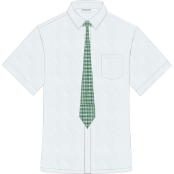 NDMC SHS POLO with necktie NDMC SHS POLO with necktie