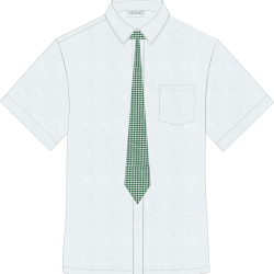 NDMC SHS POLO with necktie NDMC SHS POLO with necktie