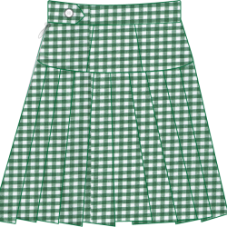 NDMC SHS SKIRT